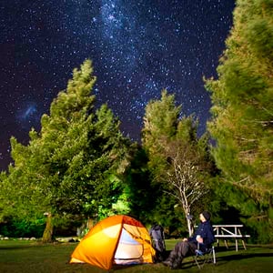 A stary sky above a Discovery Lodge tent site with green trees