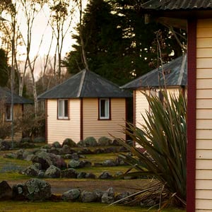 A row of camping huts amongst trees at Discovery Lodge Tongariro National Park