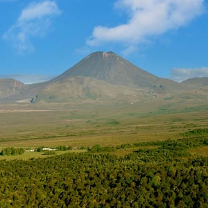 Discovery Lodge surrounded by nature with a backdrop of Mt Ngauruhoe