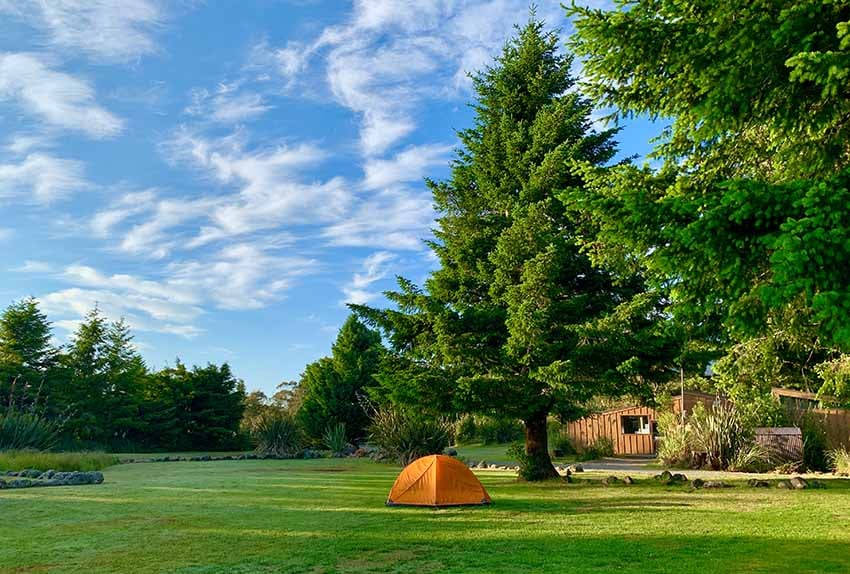 Grassy tent site at Discovery Lodge Tongariro surrounded by trees