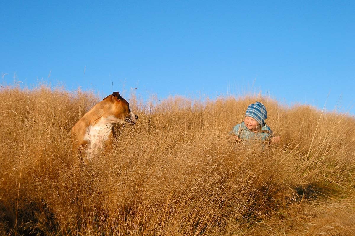 Rusty & Abel having fun