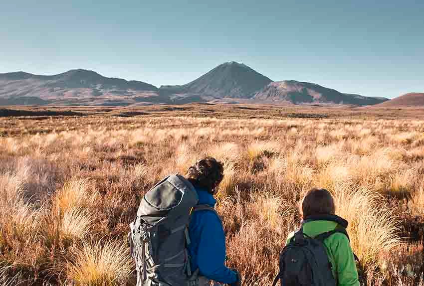 Two hikers amongst golden tussock grass with Mt Ngauruhoe and the Tongariro Alpine Crossing
