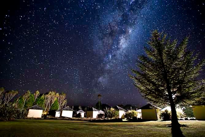Camping huts at Discovery Lodge surround by trees and the Milky Way above