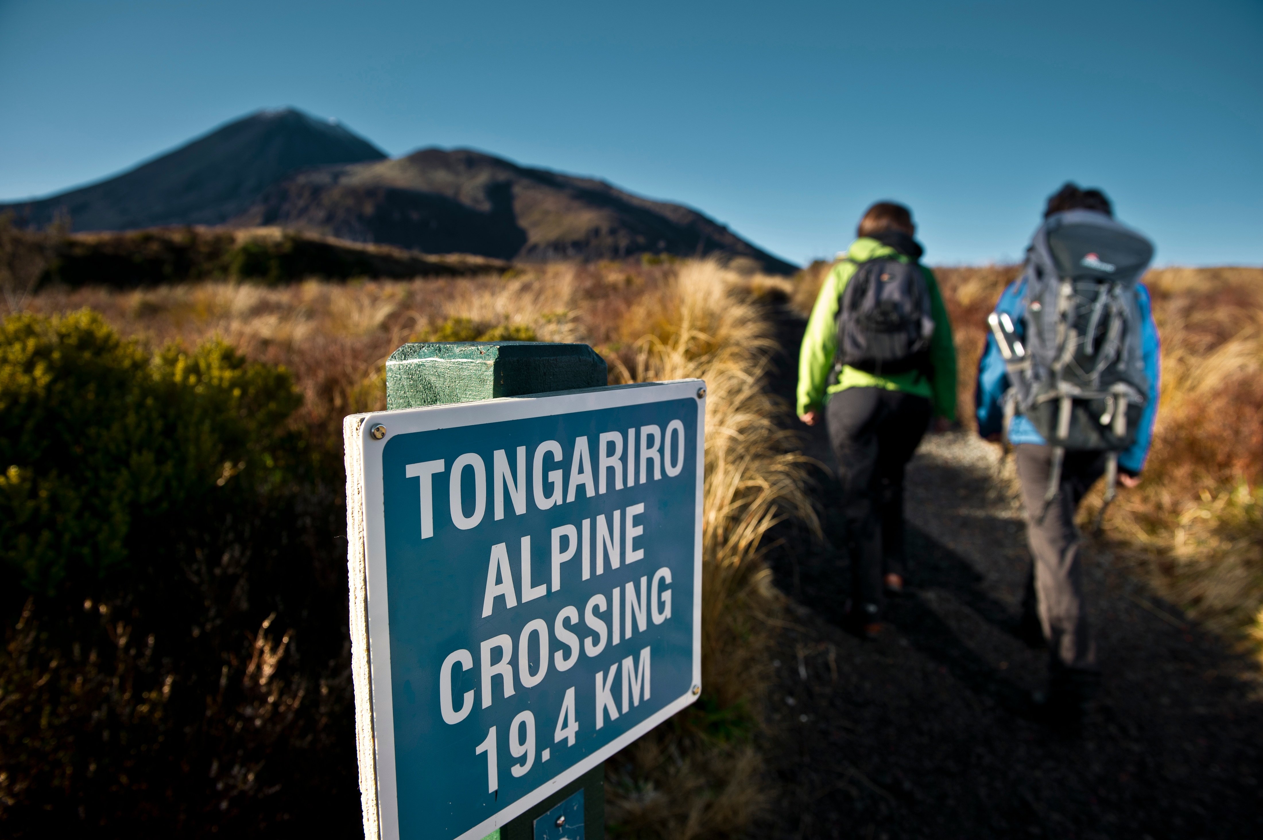 Tongariro Alpine Crossing with Discovery